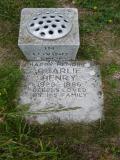 image of grave number 99302